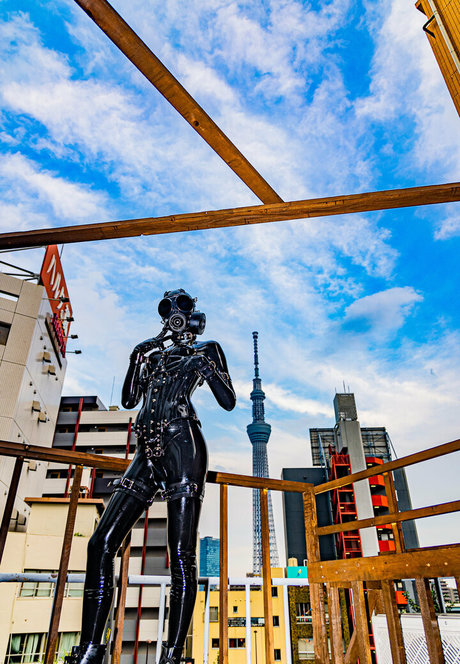 siranegi56 estrella de alta calidad galería