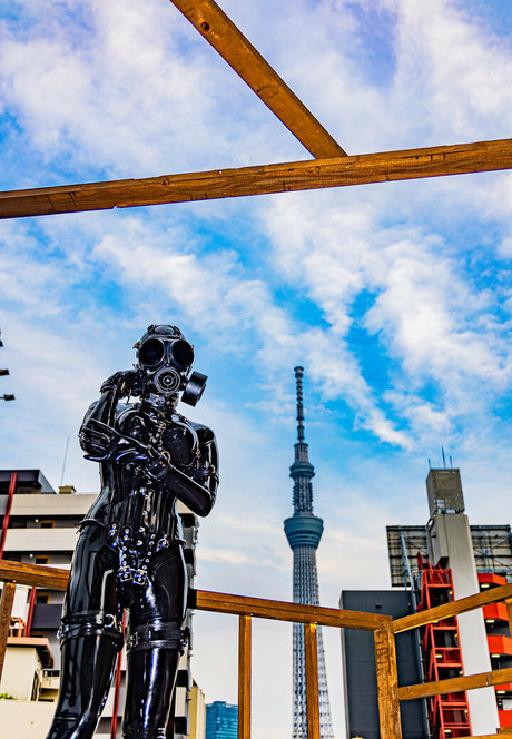 siranegi56 estrella porno hd foto