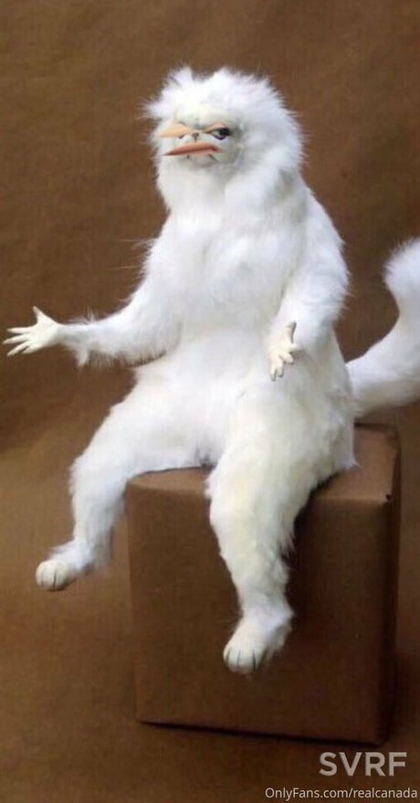 realcanadaali modelo pornografico archivo