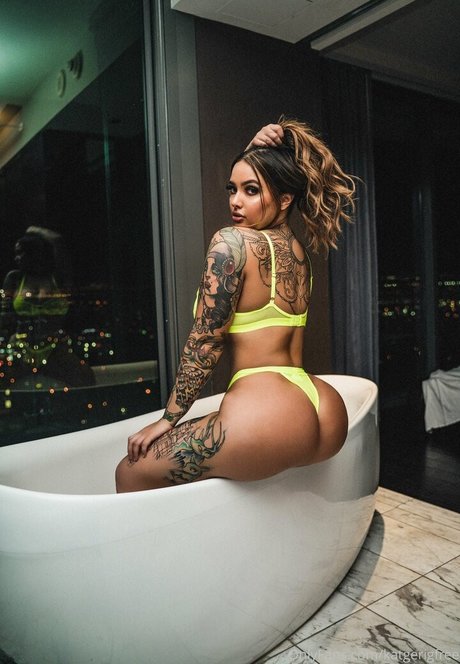 katgerigfree estrella atractiva imágenes