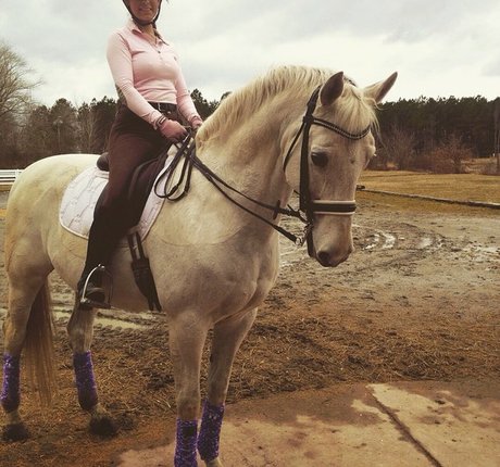 Ashton Hatchell modèle pornographique photo