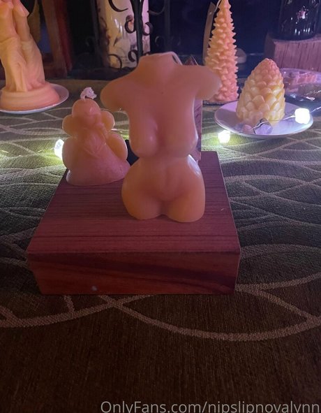 nipslipnovalynn actrice pornographique photo