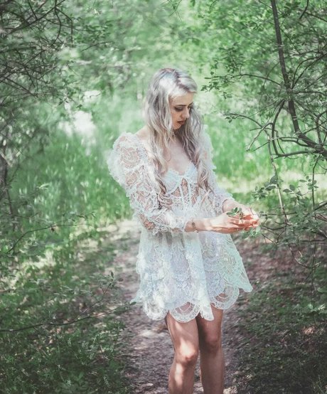 Farbenfuchs Imagen de perfil