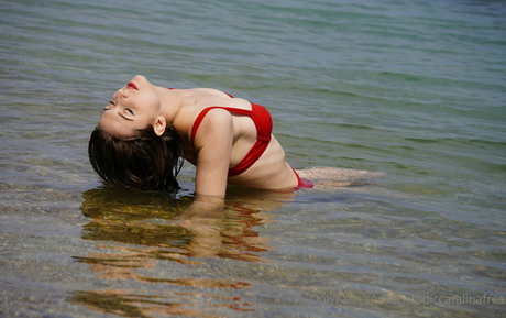 bellachary Image de profil