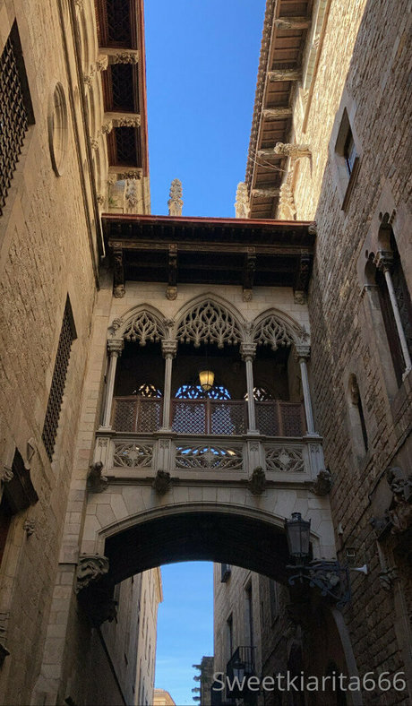 sweetkiarita666 meilleur modèle img