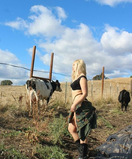 amethystvip étoile images