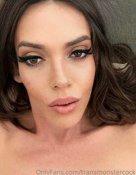 transmonstercock étoile gratuite photo