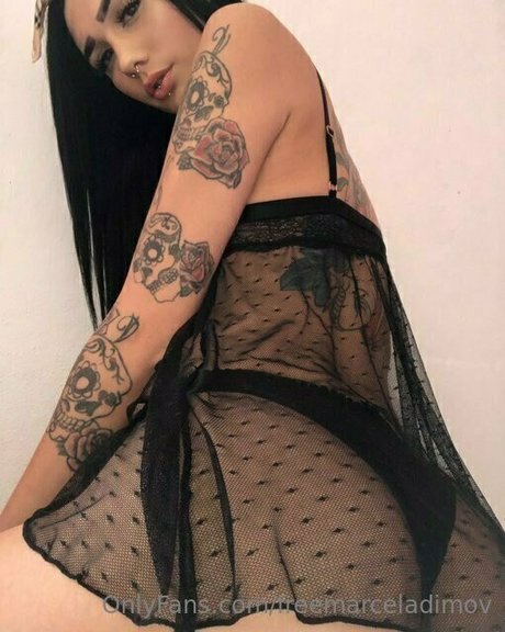 marceladimovfree nus star du porno collection