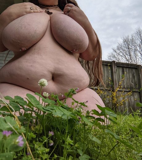 babywasabi meilleure étoile galerie