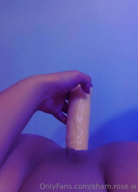 sham rose w mejor estrella imágenes