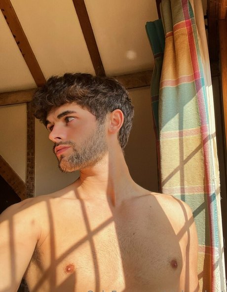 nickandant haut modèle galeries