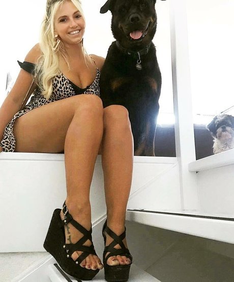 Sensi Lowe étoile xxx img