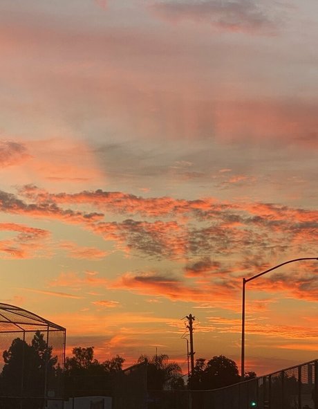 oliviawildinfree étoile xxx collection