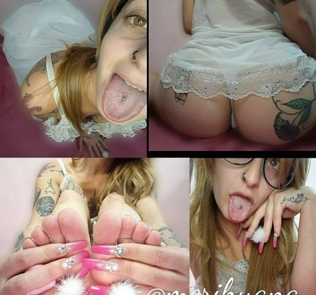 triple y estrella perfecta archivo