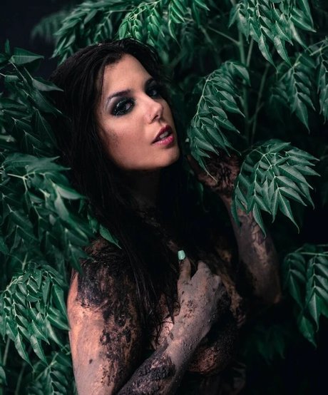 Valu Herrera estrella de alta calidad fotos