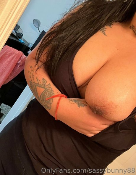 sassybunny88 estrella hd archivo