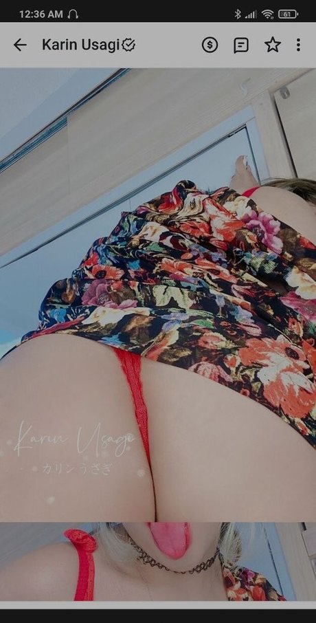 Karin Usagi Miniature