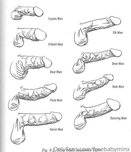 freebabyminx actrice érotique images