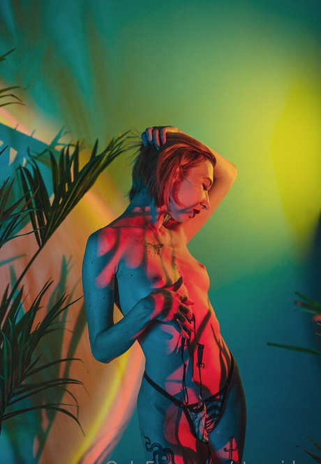 stexvideo estrella libre imagen