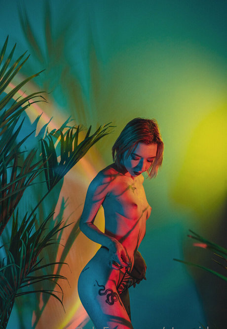 stexvideo étoile adulte photo