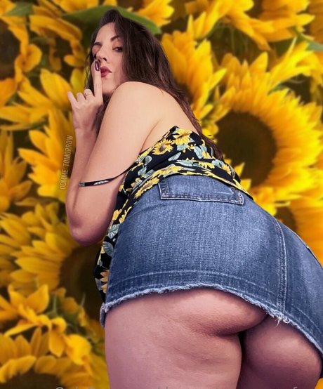 dommetomorrow free art étoile photo