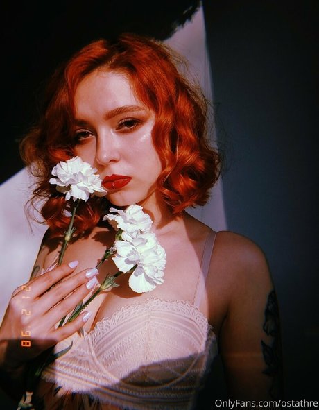 roskosh desnudos de estrellas recopilación