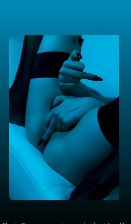 purple butterfly art étoile des photos