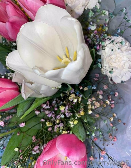 cherrykush6 modelo de alta calidad galería