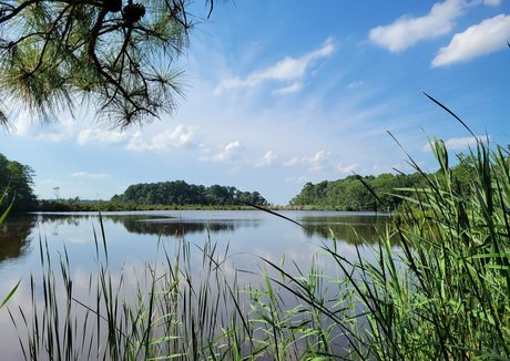 gingerhippie74 buena actriz imagen