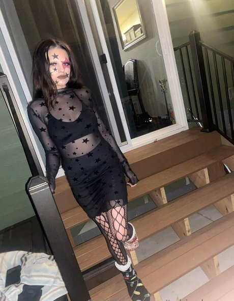 tokin bears estrella libre imagen