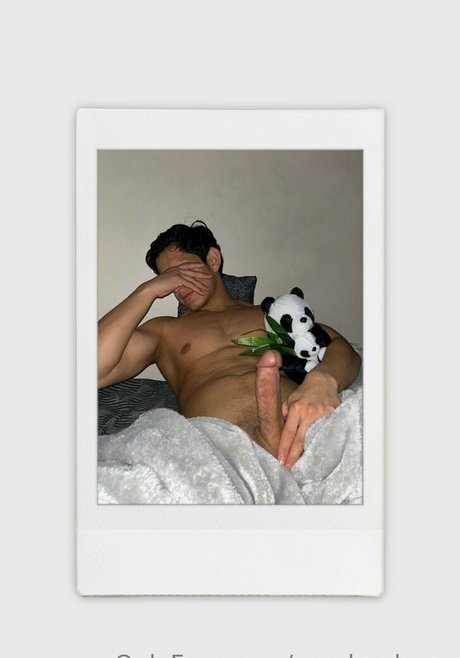 pandas lover adult model galleries
