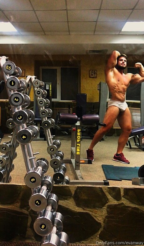 evanway modelo hd archivo