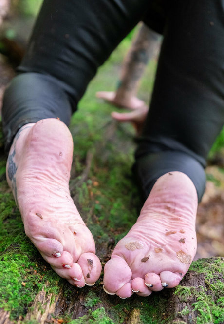 misssoletrader estrella de alta calidad recopilación