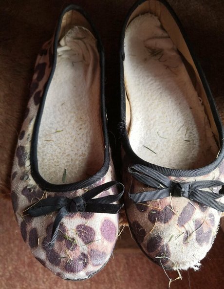 misssoletrader nus de stars du porno img