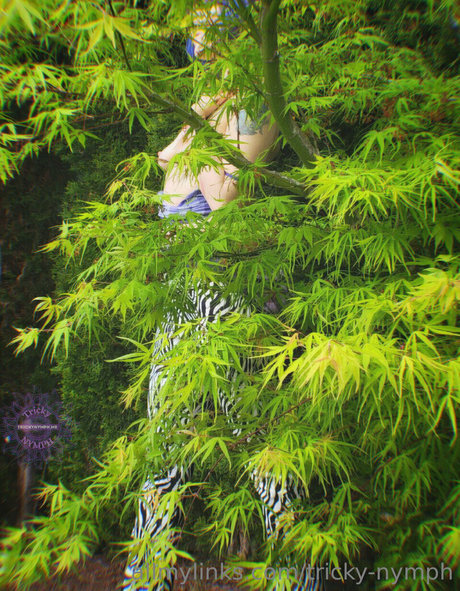 tricky__nymph meilleure star du porno collection