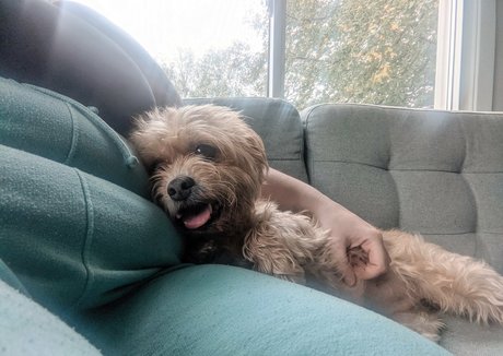 fayedaniels xxx estrella porno imagen