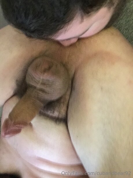 cubandbear92 Image de profil