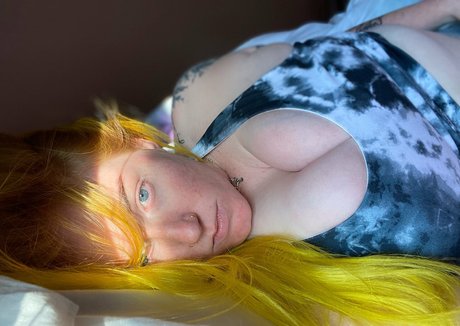 gingerhart libre de estrellas fotos