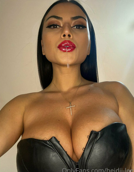 heidii lee sex star galleries