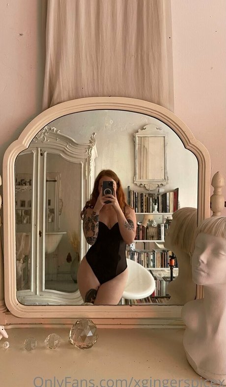 Xgingerspicex model best image