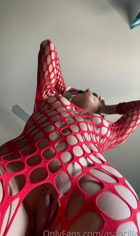 Asapcilla modèle hd image