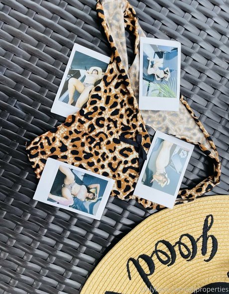 Abella Anderson étoile hd galerie