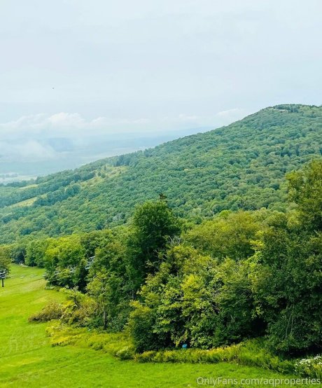 Abella Anderson meilleure actrice img