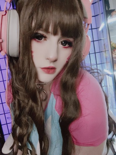 Koyomatsu estrella agradable foto