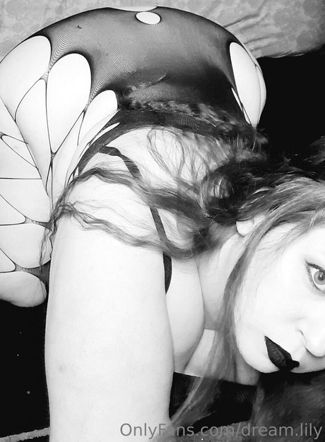 dream lily modelo imagen