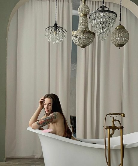 meow fit Imagen de perfil