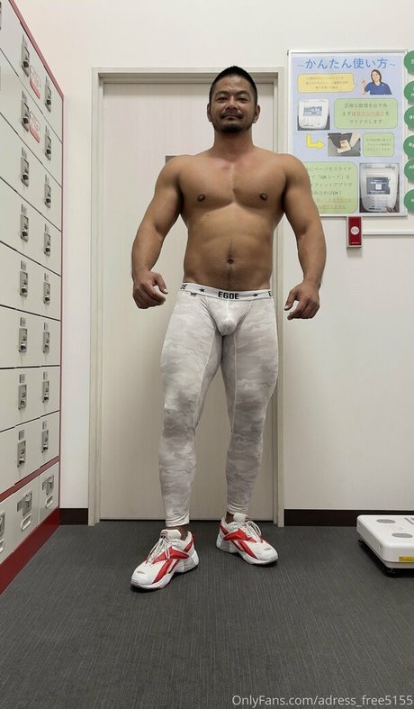 adress free5155 modelo gratis recopilación