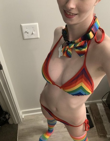 voan zonead estrella agradable galerías