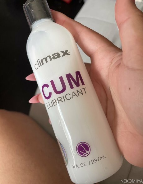 nekomiiya étoile de l'art galerie