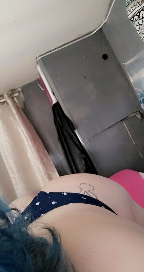 lanicat1 étoile xxx collection